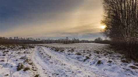 Winter meadows with snow stock image. Image of meadows - 106915839