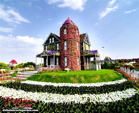 Dubai Miracle Garden: The World's Biggest Natural Flower Garden With ...