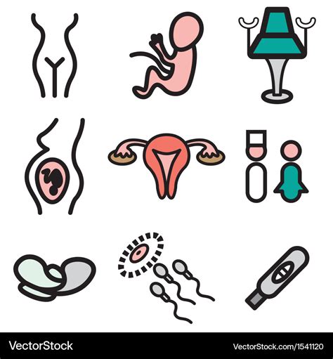 Logo icons gynecology Royalty Free Vector Image