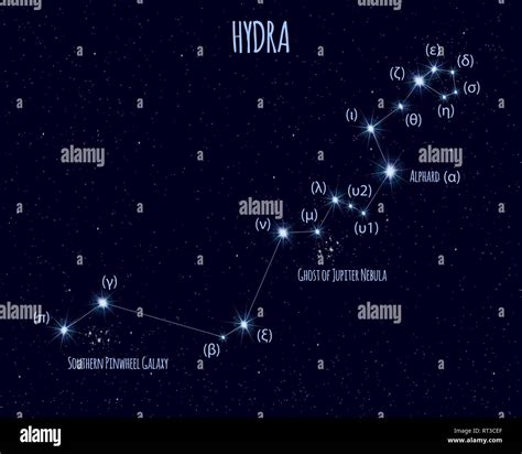 Hydra constellation, vector illustration with the names of basic stars against the starry sky ...