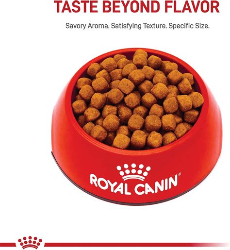 Royal Canin Maine Coon Dry Cat Food, 14-lb bag - Chewy.com