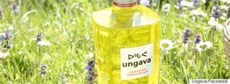 Ungava Gin Can Support Inuit Health If It Wants To Make Things Right: Corporate Spokesman ...