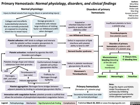 Primary Hemostasis | Calgary Guide