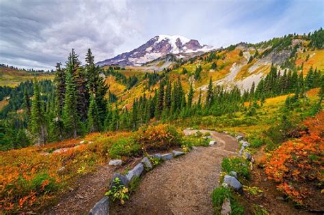 12 Top-Rated Hiking Trails at Mount St. Helens – Visit Mt St Helens