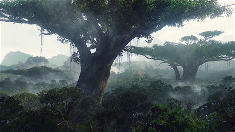 #Avatar #nature #Pandora #wood #1080P #wallpaper #hdwallpaper #desktop | Avatar tree, Fantasy ...