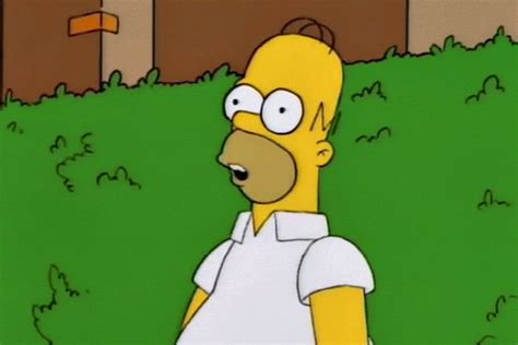 Homer Simpson Animated Gif Funny Gifs | Best Wallpaper - Best Wallpaper HD