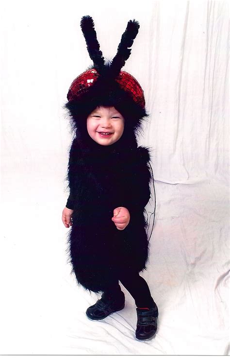 Fly Costume! | Fly costume, Halloween costumes for kids, Halloween costumes