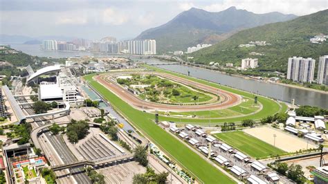 Hipódromo de Happy Valley Conheça os habitantes locais: MELHORES de 2022 - Cancelamento GRÁTIS ...