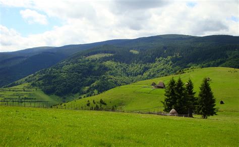 Hiking in the Carpathian Mountains: - City Tours and Events