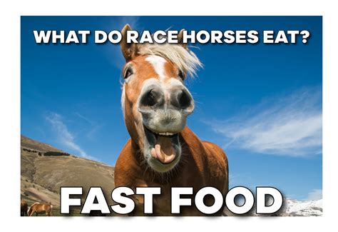 15 Hilarious Horse Memes Funny Horses Funny Horse Horse Quotes Funny ...