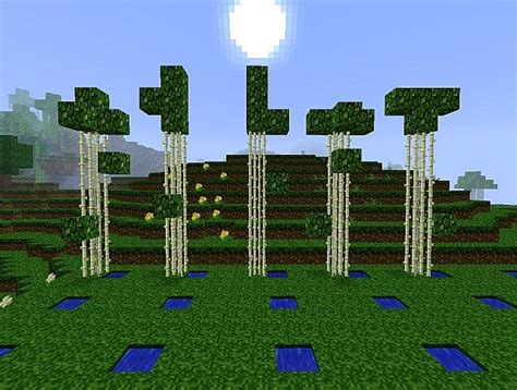 Bamboo forest biome Minecraft Map