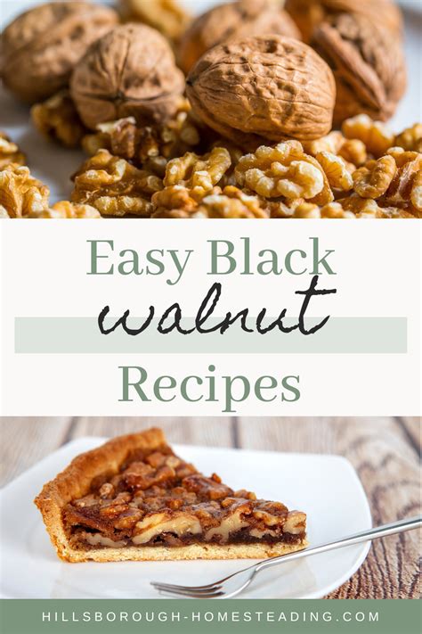 6 easy black walnut recipes – Artofit