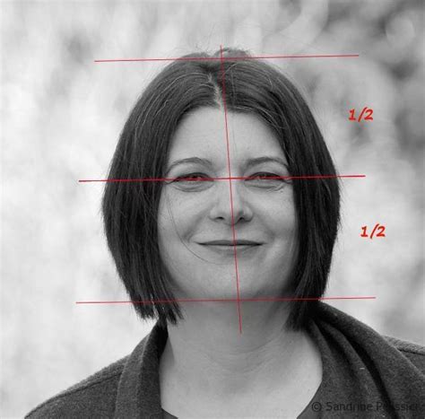 Portrait drawing : Basic proportions of the face - ARTiful: painting demos