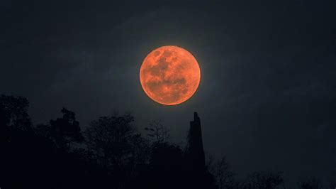 Super Blood Wolf Moon 2024 Spiritual Meaning - Nicol Mareah