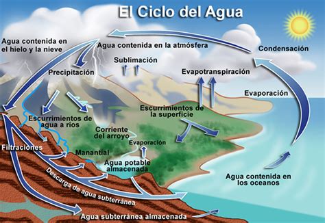 El Ciclo Hidrológico. - Curiosidades Ambientales