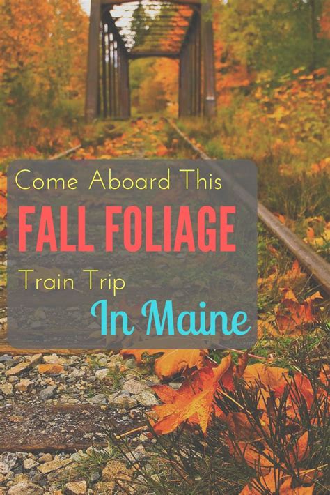 Take This Fall Foliage Train Ride Through Maine For A One-Of-A-Kind ...