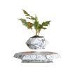 Levitating Flower Pot | EliteDuo