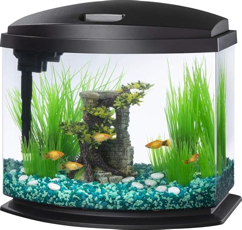 5 Best Small Fish Tanks: Tiny Options Reviewed (2024)