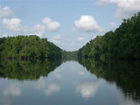 Cape Fear River Tour Pictures