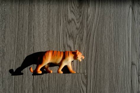 90+ Tiger Figurine Wood Stock Photos, Pictures & Royalty-Free Images - iStock