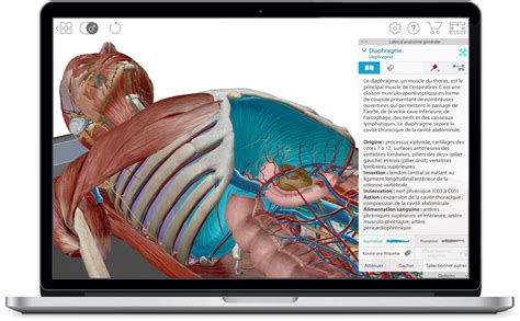 Visible Body 3d Human Anatomy Atlas