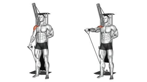 Cable Front Raise: Muscles Worked, Benefits, Tips