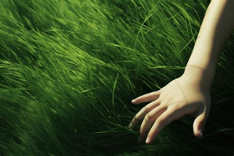 Grass green hand touching. AI | Free Photo - rawpixel