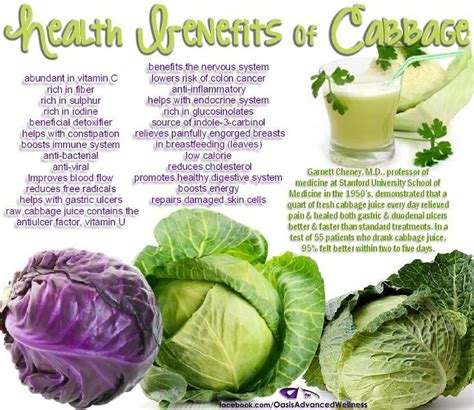 Benefits of Cabbage | Cabbage health benefits, Cabbage benefits, Health and nutrition