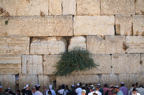 The Wailing Wall in Jerusalem - A FULL Guide | Dan Hotels Blog