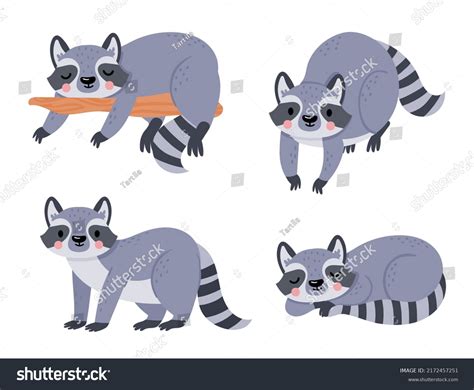 Cute Cartoon Baby Raccoon Animal Sleep Stock Illustration 2172457251 ...