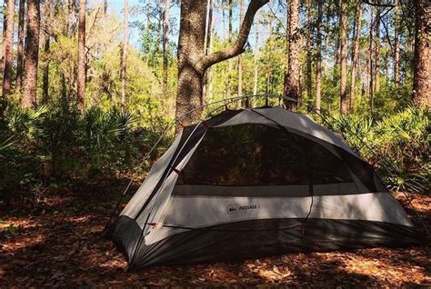 Free Camping in Florida: Tips For Saving Green in the Sunshine State