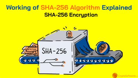 SHA256 Algorithm – Best Cryptocurrency Hashing Algorithm – Crypto Softwares