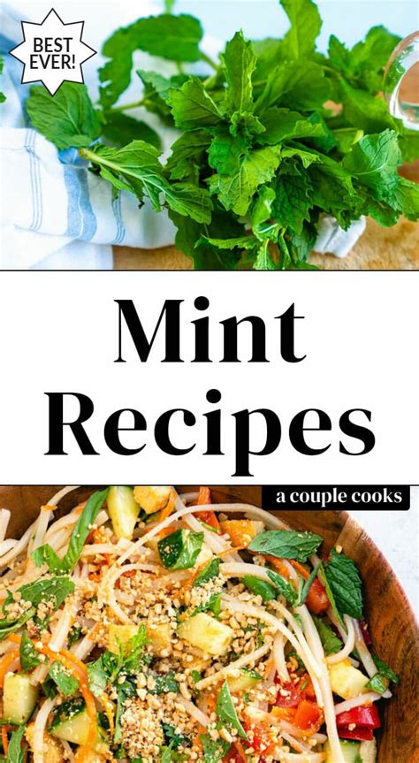 12 Mint Recipes to Try – A Couple Cooks