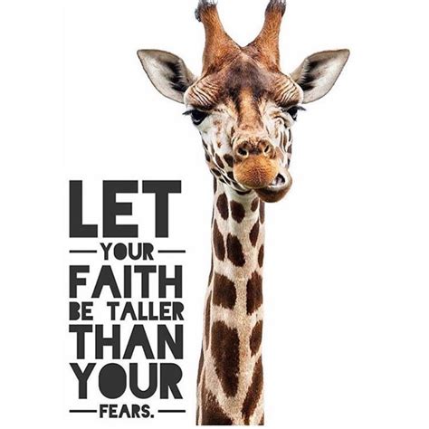 Faith Taller … | Giraffe quotes, Giraffe, Giraffe pictures