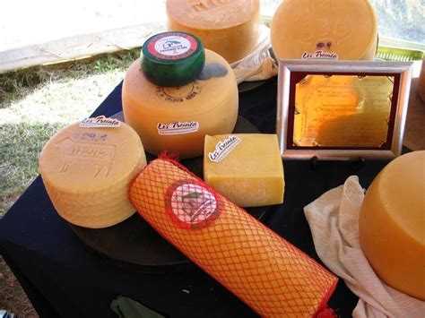 Uruguayan cheese | America food, Food, European food