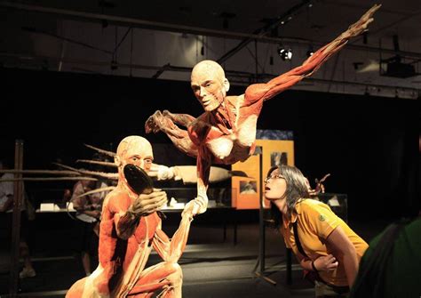 Body Worlds exhibit of plastinated corpses opens without controversy in Halifax - The Globe and Mail