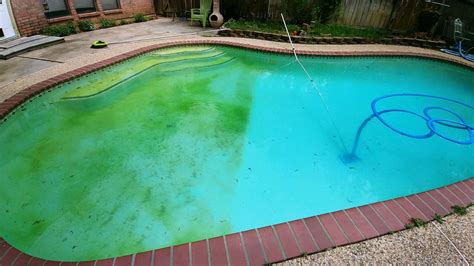 How to Clean a Green Pool? – West Coast Pool and Spa