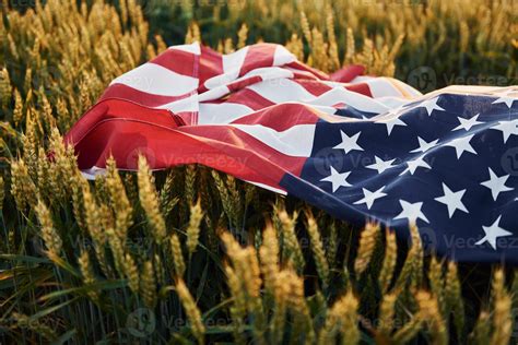 Close up view of USA flag that lying down on the agricultural field. Conception of freedom ...