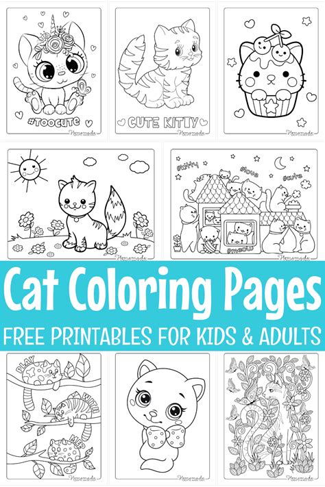 Printable Cat Coloring Pages Realistic