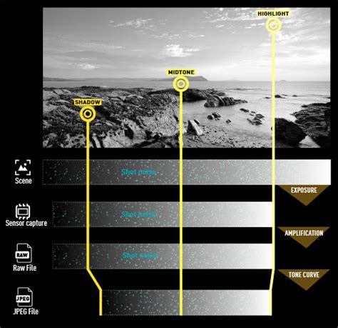 What's that noise? Part one: Shedding some light on the sources of noise: Digital Photography Review