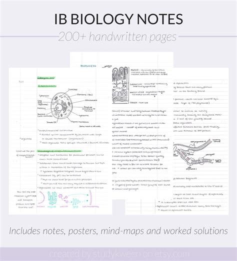 IB Biology Notes SL and HL Handwritten Revision Notes Study Guide ...