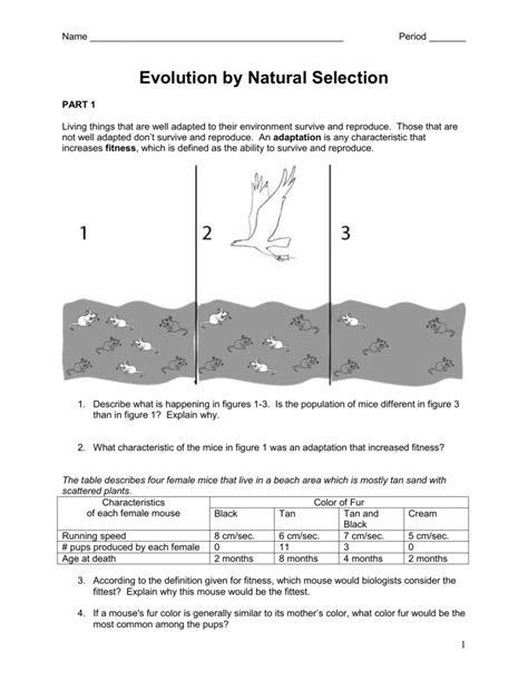 Evolution By Natural Selection Worksheet Answers — db-excel.com