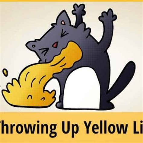 Cat Throwing Up Yellow Liquid - What Can You Do? | ZooAwesome!