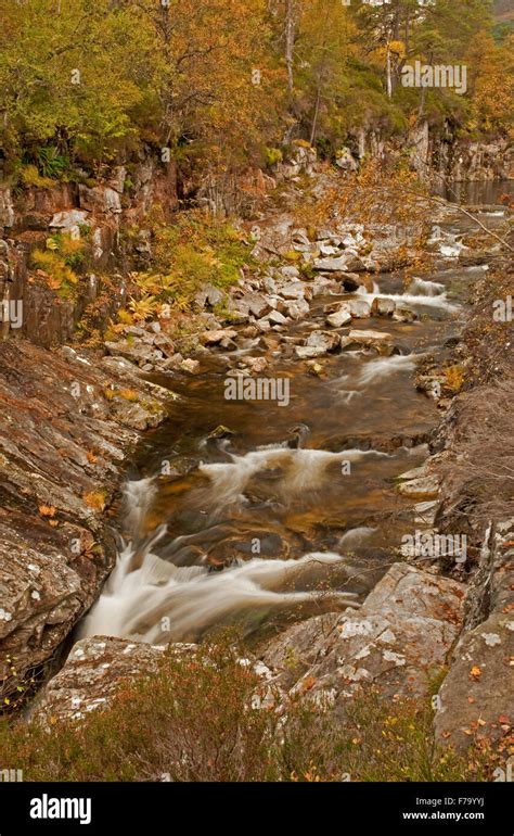 Glen Affric in Autumn Stock Photo - Alamy