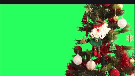 Real Christmas tree green screen footage(only free for subscribers ...