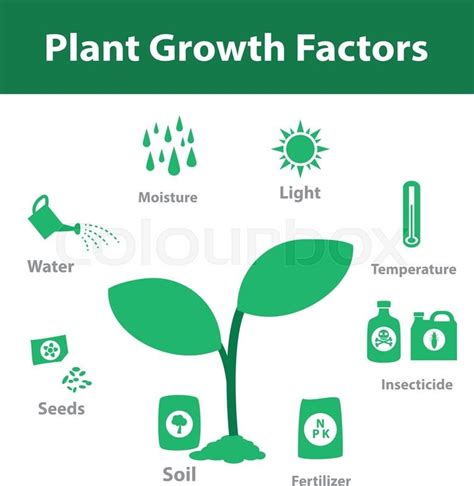 Plant Growth Factors There are... - Shekhawati Agro Traders | Facebook