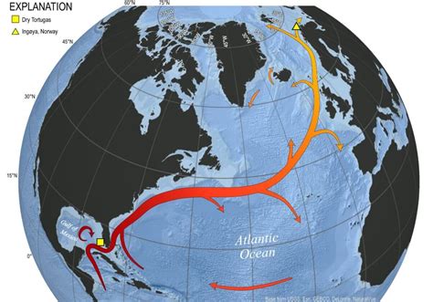 Strong Ocean Anomalies are developing over the Gulf Stream area in the North Atlantic, forecast ...