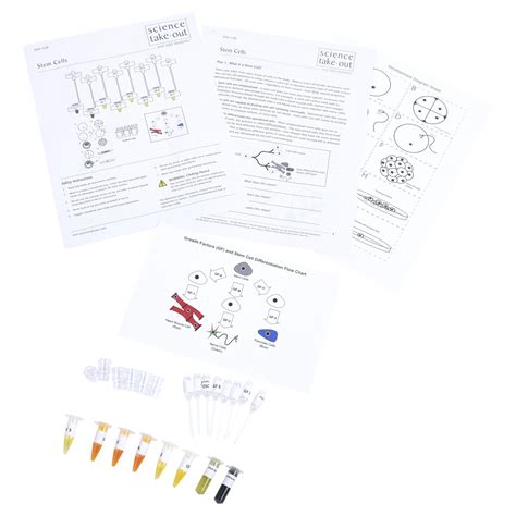 Cell Biology Lab Experiments | Science Take-Out | Hands-On Learning Kits