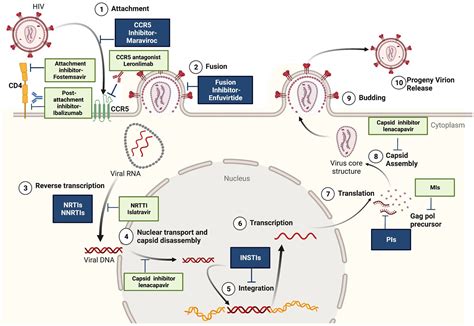 Frontiers | Strategies to overcome HIV drug resistance-current and future perspectives