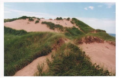 Landforms - Atlantic Maritime Ecozone